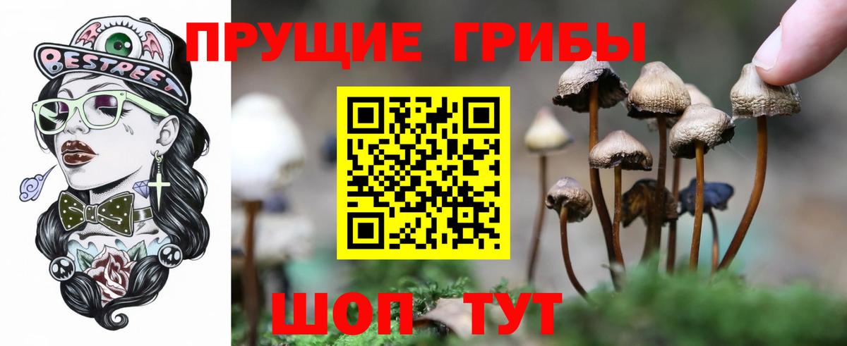 Галлюциногенные грибы ЛСД Россошь